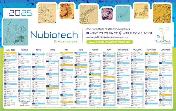 Calendriers à personnaliser à 100% N°21 – 13 mois sur une face